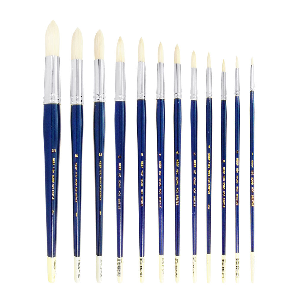 Neef 1150R Round Hog Hair Brush Full Range